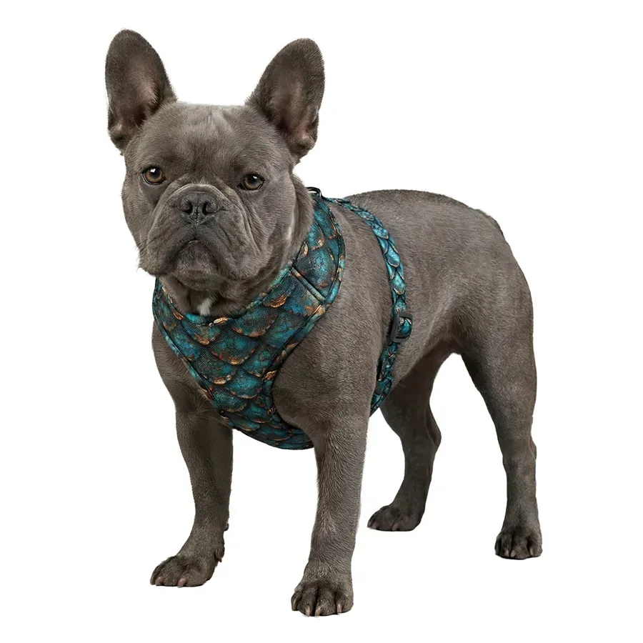 Шлея для собак дихаюча «Луска», M WAUDOG Mesh Soft Harness Scales