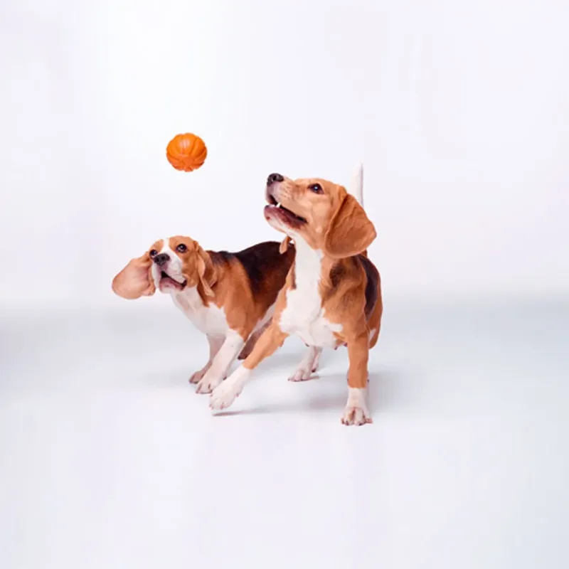 Мячик ЛАЙКЕР7 LIKER Ball
