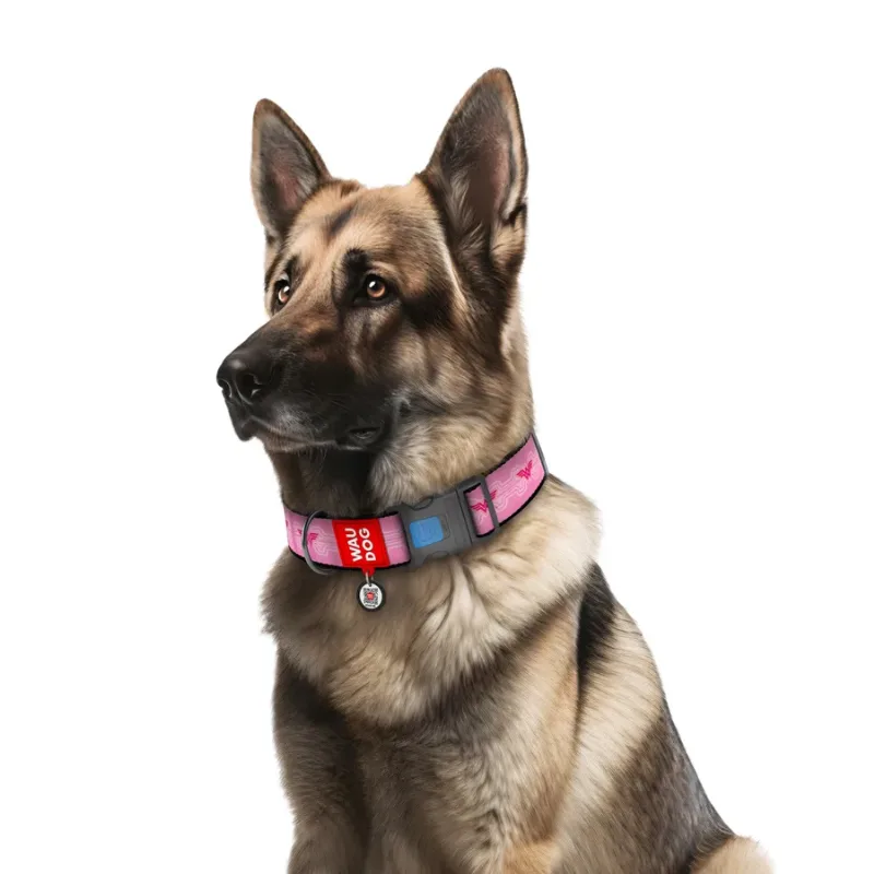 Ошейник для собак нейлоновый «Чудо-женщина 1», XXL WAUDOG Nylon Collar Wonder Woman 1