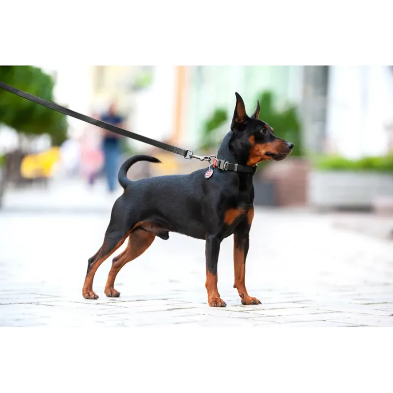 Нашийник для собак водостійкий, металева пряжка, M, чорний WAUDOG Waterproof Collar