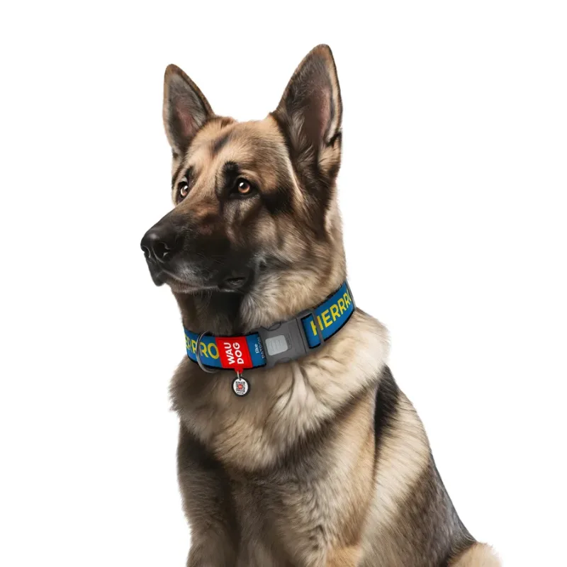Нашийник для собак нейлоновий «Патрон», XXL WAUDOG Nylon Collar Patron