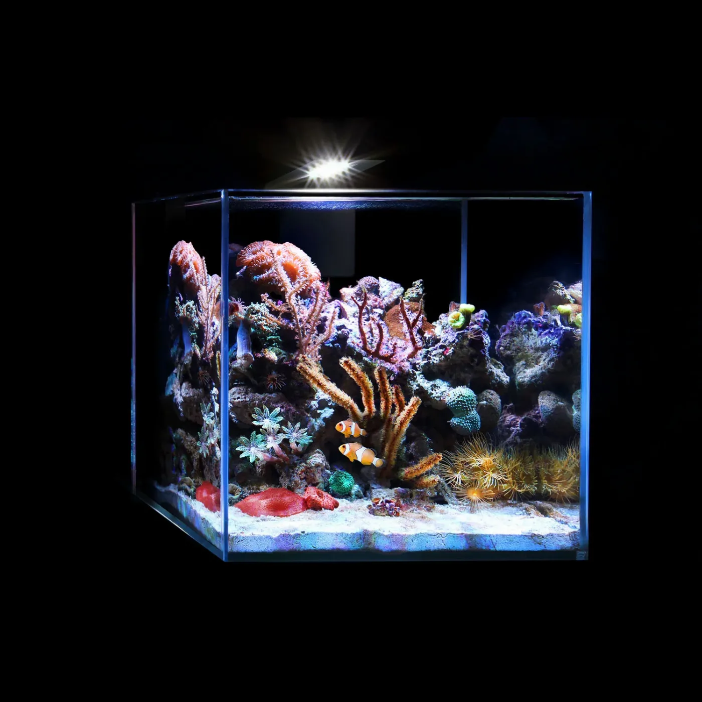 Аквариумный набор Nano Marine Set 15 литров AquaLighter Nano Aquarium Kit