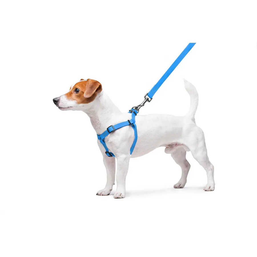 Шлея для собак водостійка, S, блакитний WAUDOG Waterproof Harness