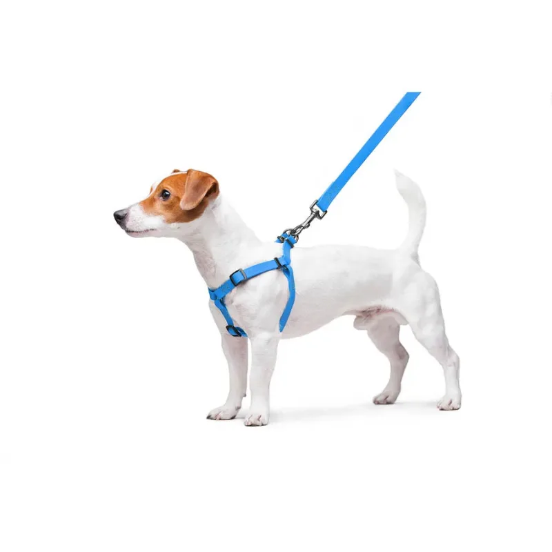 Шлея для собак водостійка, S, блакитний WAUDOG Waterproof Harness