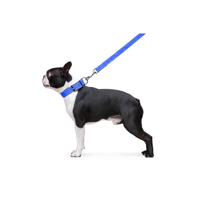 Повідець з нейлону подвійний, M, блакитний Dog Extreme Leash