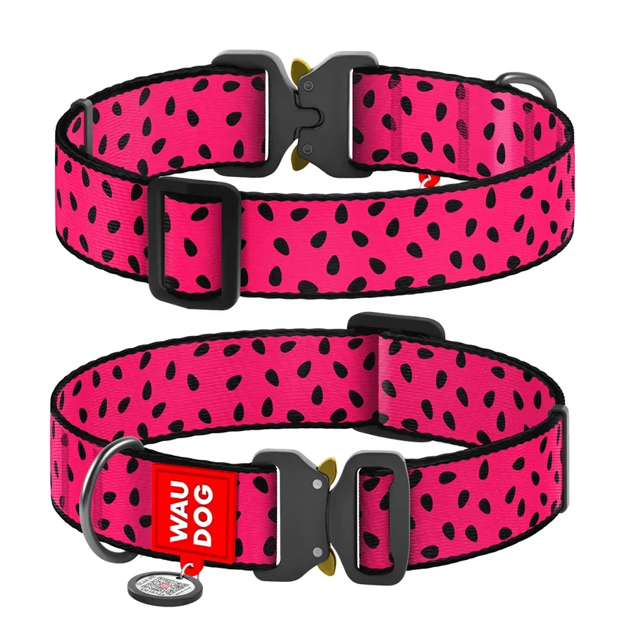 Ошейник для собак нейлоновый «Арбуз», металлическая пряжка, XXL WAUDOG Nylon Collar Watermelon