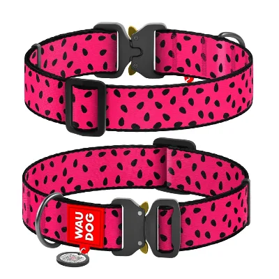 Ошейник для собак нейлоновый «Арбуз», металлическая пряжка, XXL WAUDOG Nylon Collar Watermelon