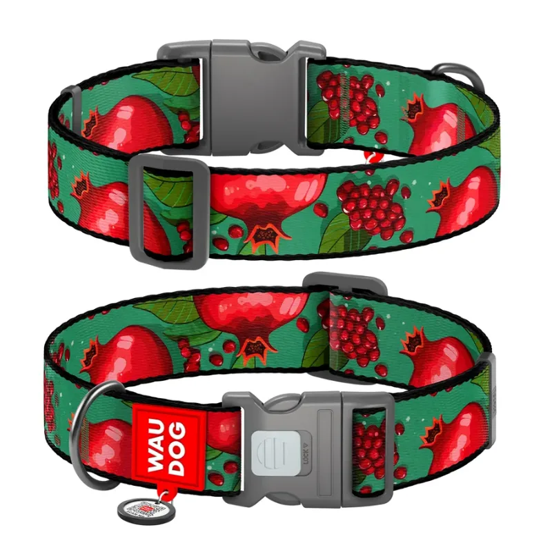Нашийник для собак нейлоновий «Гранати», XXL WAUDOG Nylon Collar Pomegranates