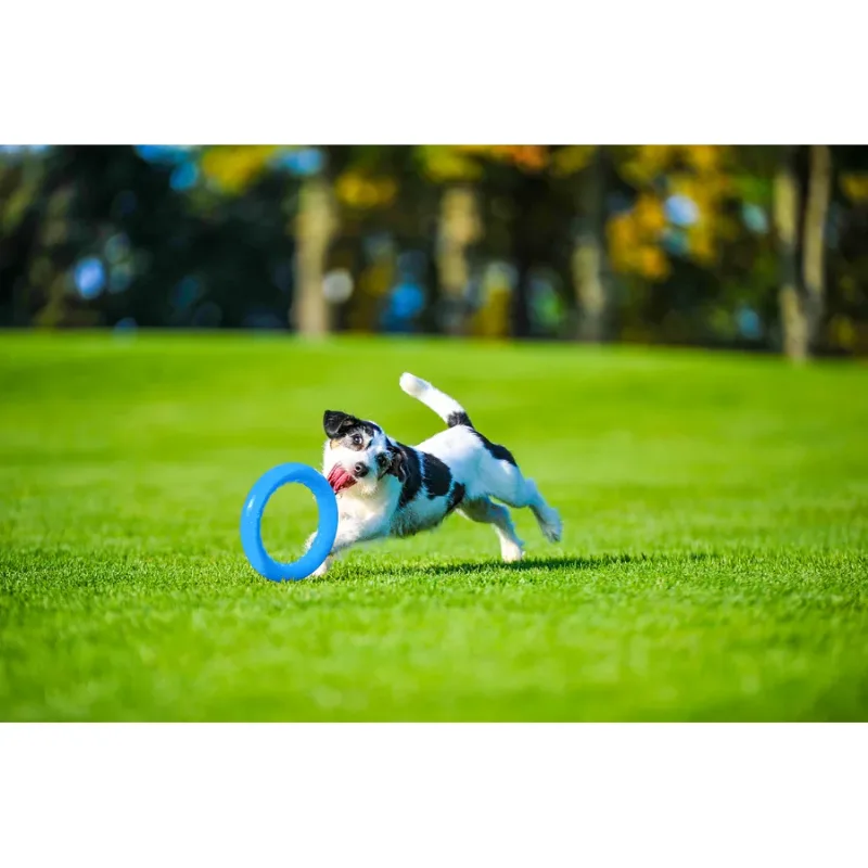 Кільце для апортировки 20, блакитний PitchDog Fetch Ring