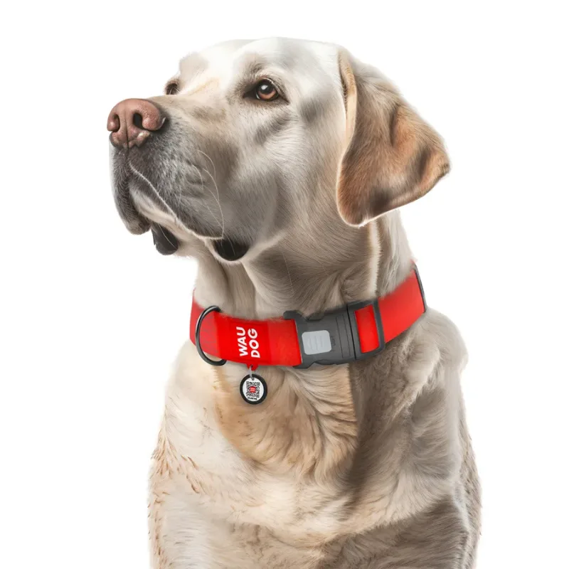 Ошейник для собак водостойкий, пластиковая пряжка, XXL, красный WAUDOG Waterproof Collar