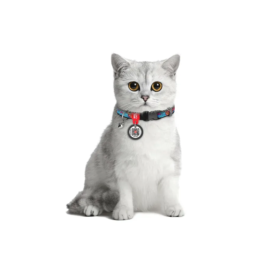 Нашийник для котів нейлоновий «Літо», XS WAUCAT Nylon Collar Summer