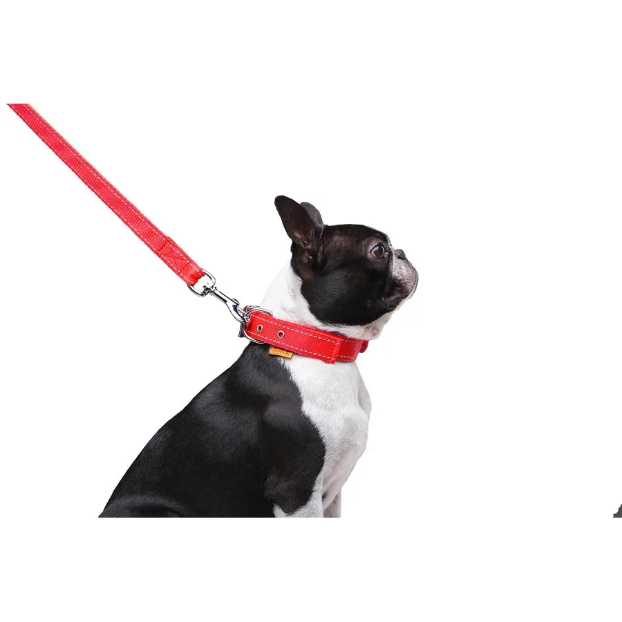 Поводок нейлоновый двойной, M, красный Dog Extreme Leash