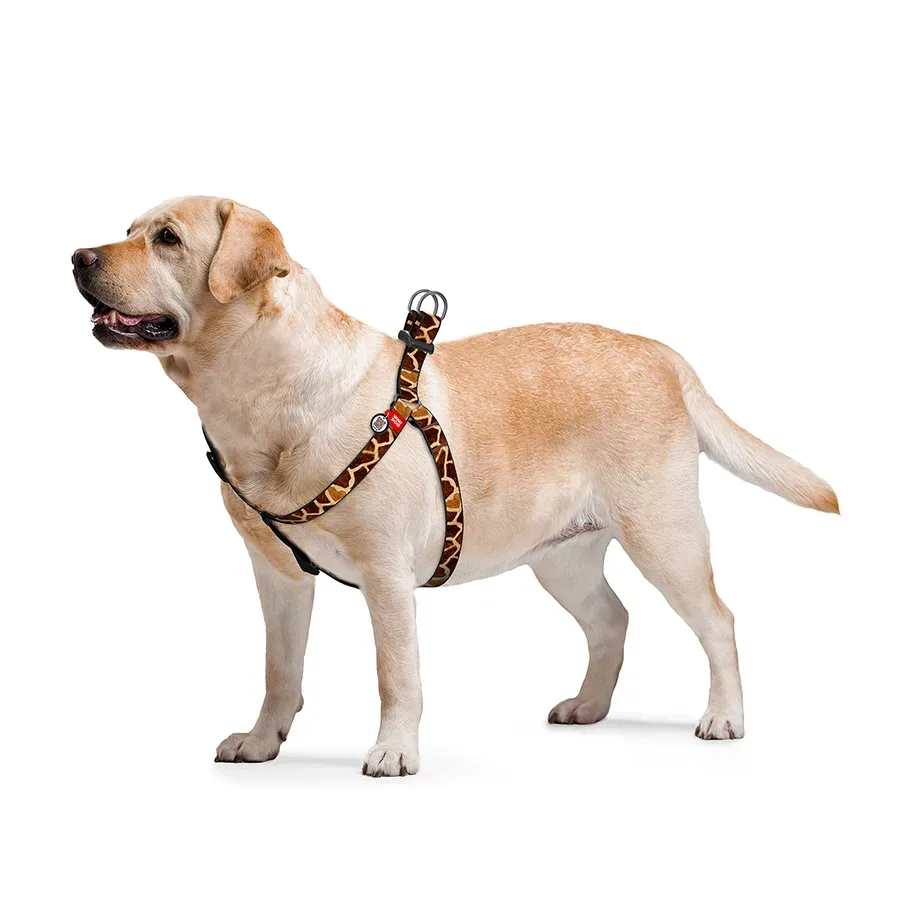 Шлея для собак «Жираф», L WAUDOG Nylon Harness Giraffe