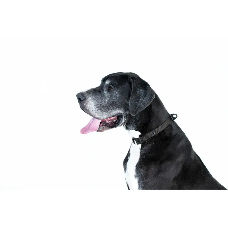 Нашийник, регульований, універсальний, S-XL, чорний EVOLUTOR Collar