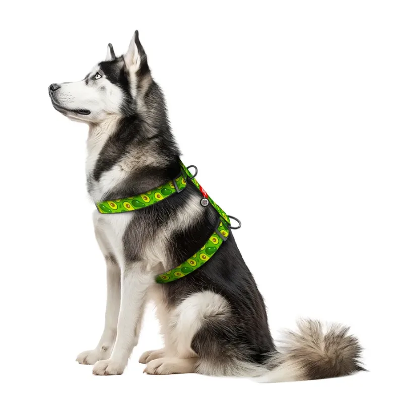 Шлея для собак анатомическая H-образная «Авокадо», XL WAUDOG Nylon Anatomic Harness Avocado