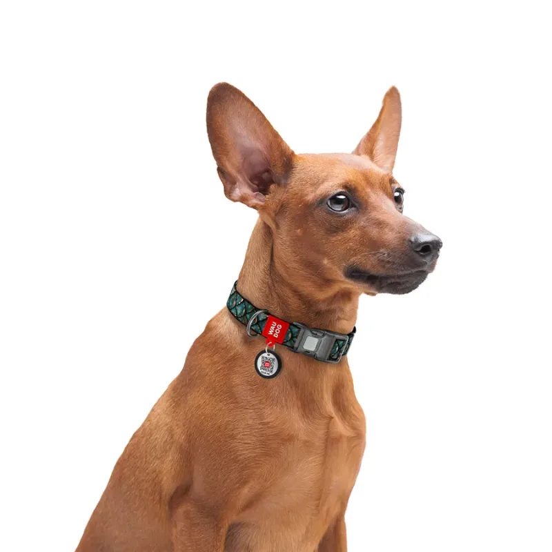 Ошейник для собак нейлоновый c QR адресником «Чешуя», XXL WAUDOG Nylon Collar Scales