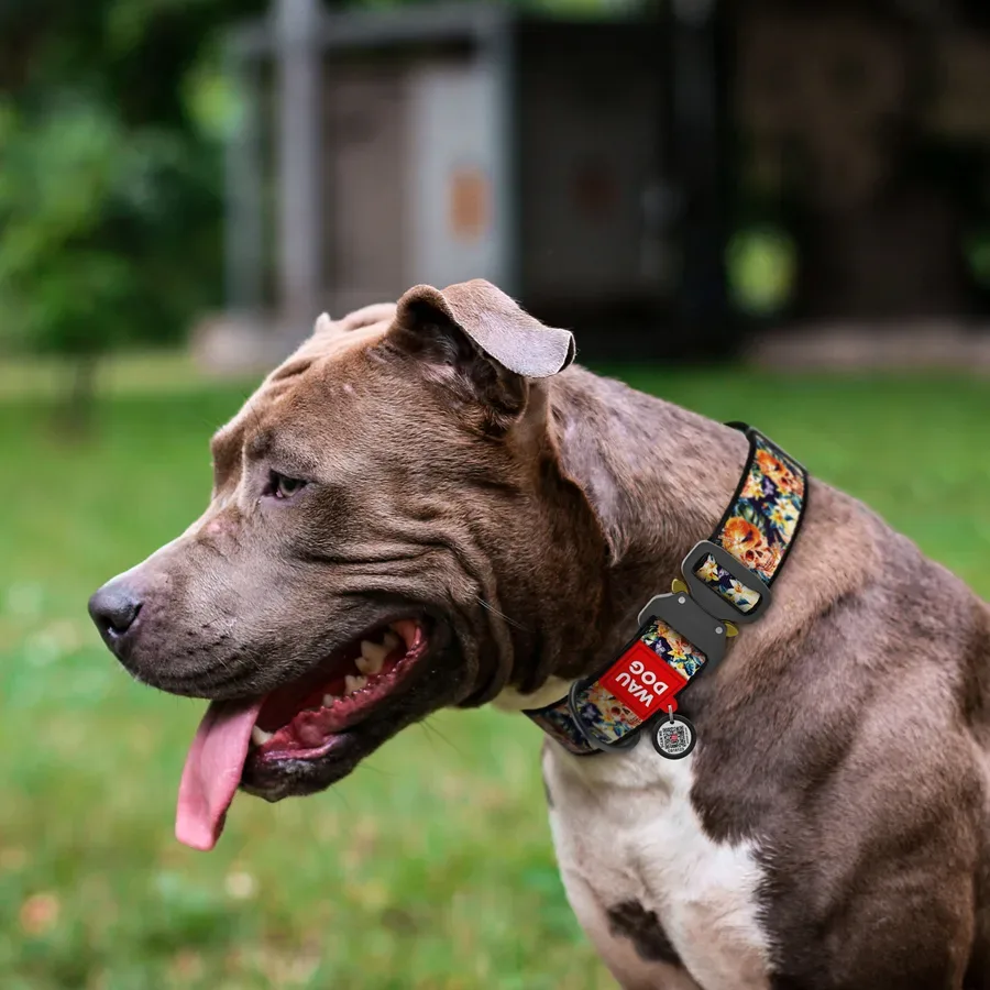 Нашийник для собак нейлоновий «Гламурні черепи», XXL WAUDOG Nylon Collar Glam Skulls