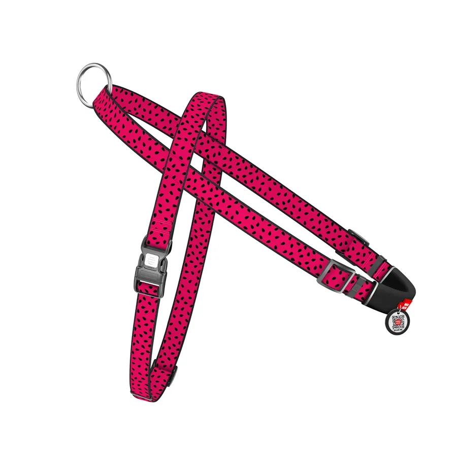 Шлея для собак швидкознімна «Кавун», L WAUDOG Nylon Harness Watermelon