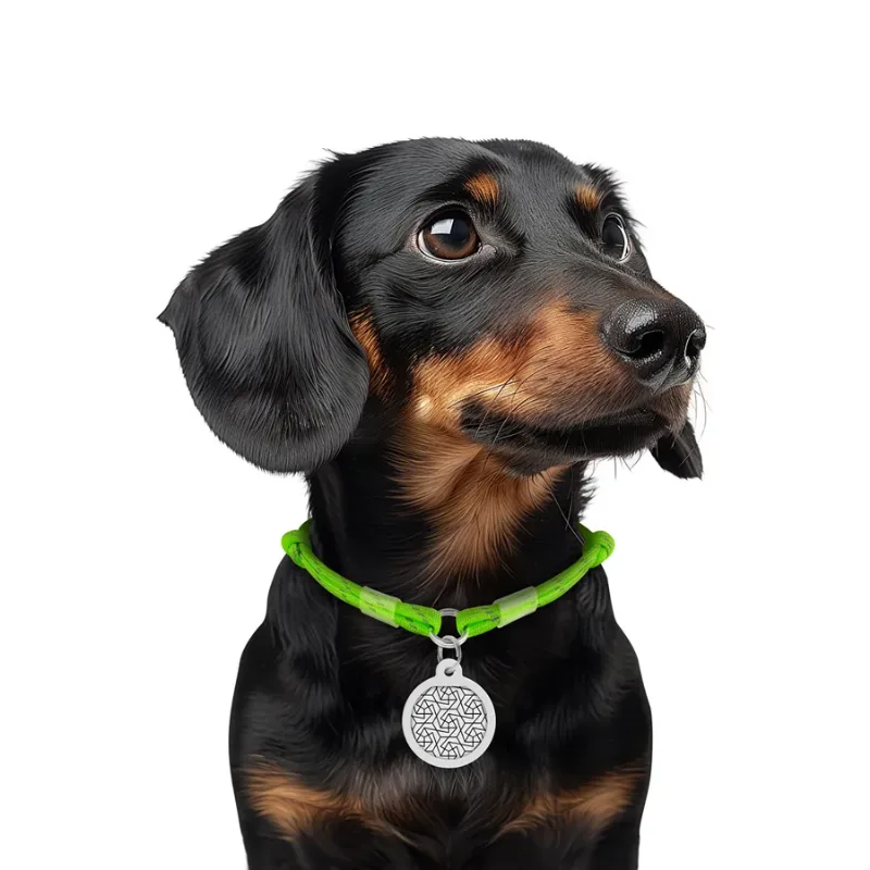 Шнурок для адресника из паракорда, светоотражающий, S, салатовый WAUDOG Smart ID Tag Cord