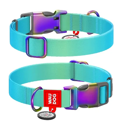 Ошейник для собак нейлоновый, градиент, S, голубой WAUDOG Nylon Recycled Collar