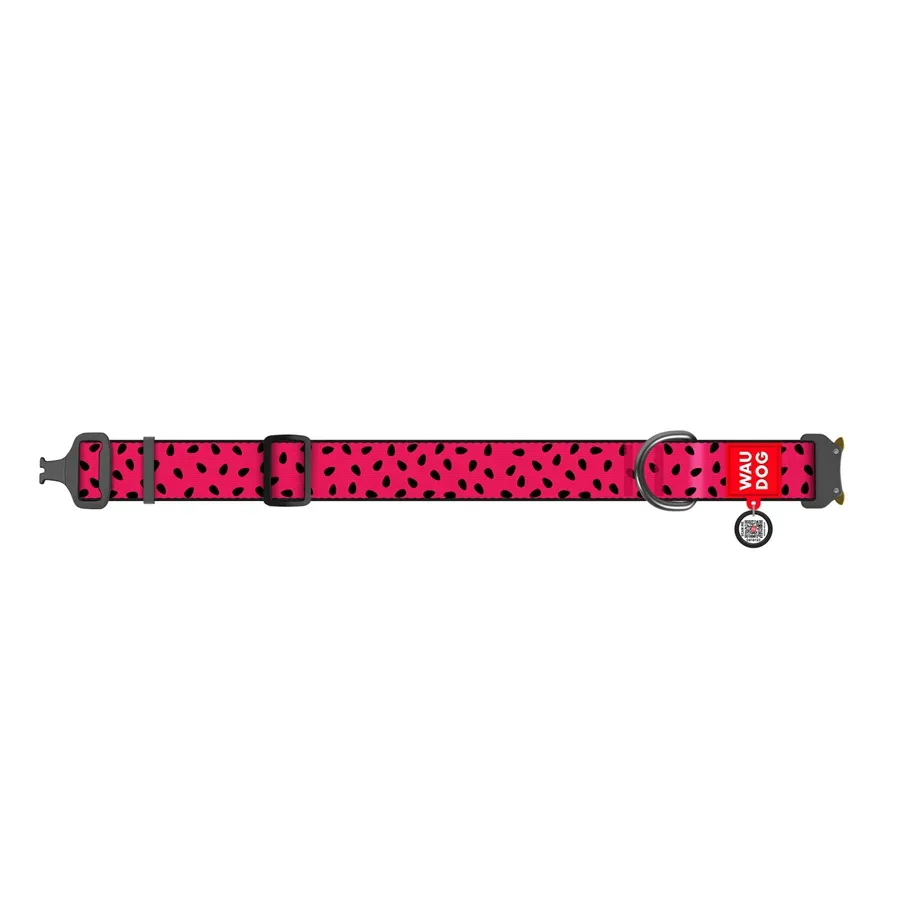 Ошейник для собак нейлоновый «Арбуз», металлическая пряжка, XXL WAUDOG Nylon Collar Watermelon