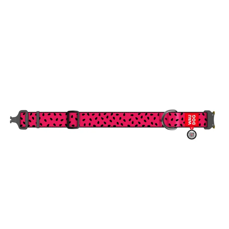 Ошейник для собак нейлоновый «Арбуз», металлическая пряжка, XXL WAUDOG Nylon Collar Watermelon