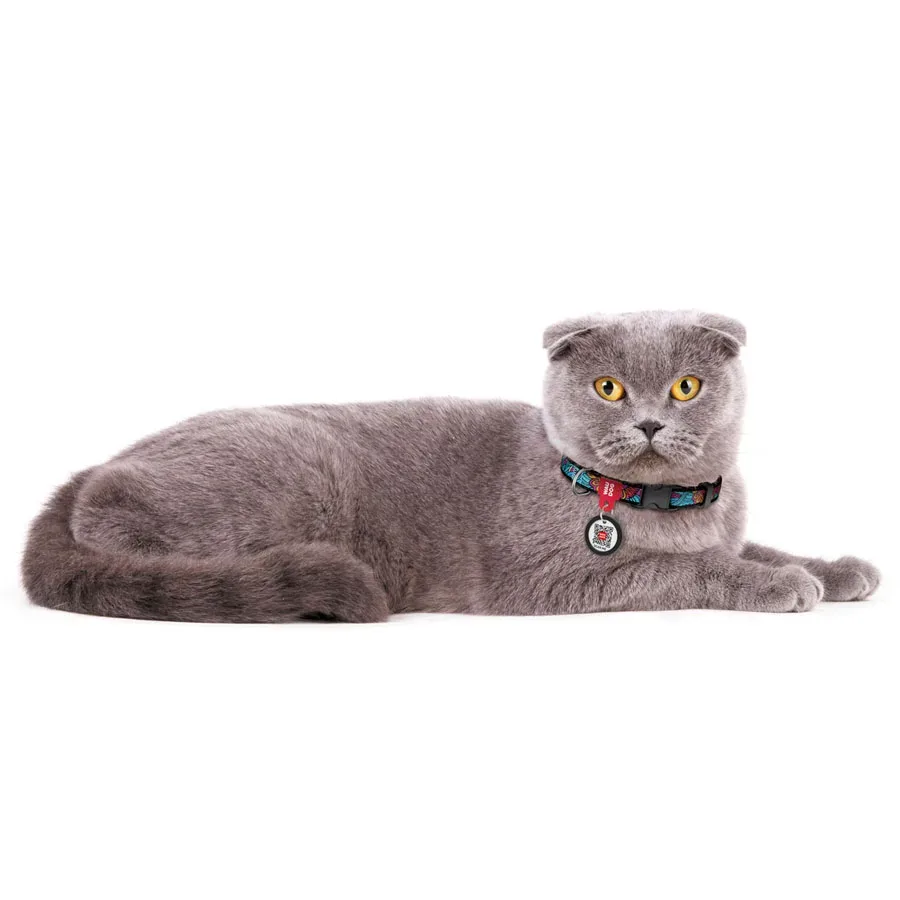 Нашийник для собак нейлоновий «Літо», XS WAUDOG Nylon Collar Summer