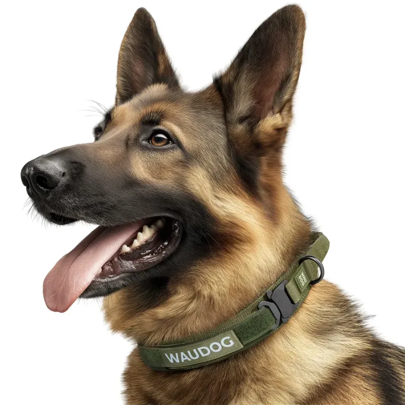 Ошейник с ручкой тактический для собак, XL, хаки WAUDOG PRO Collar