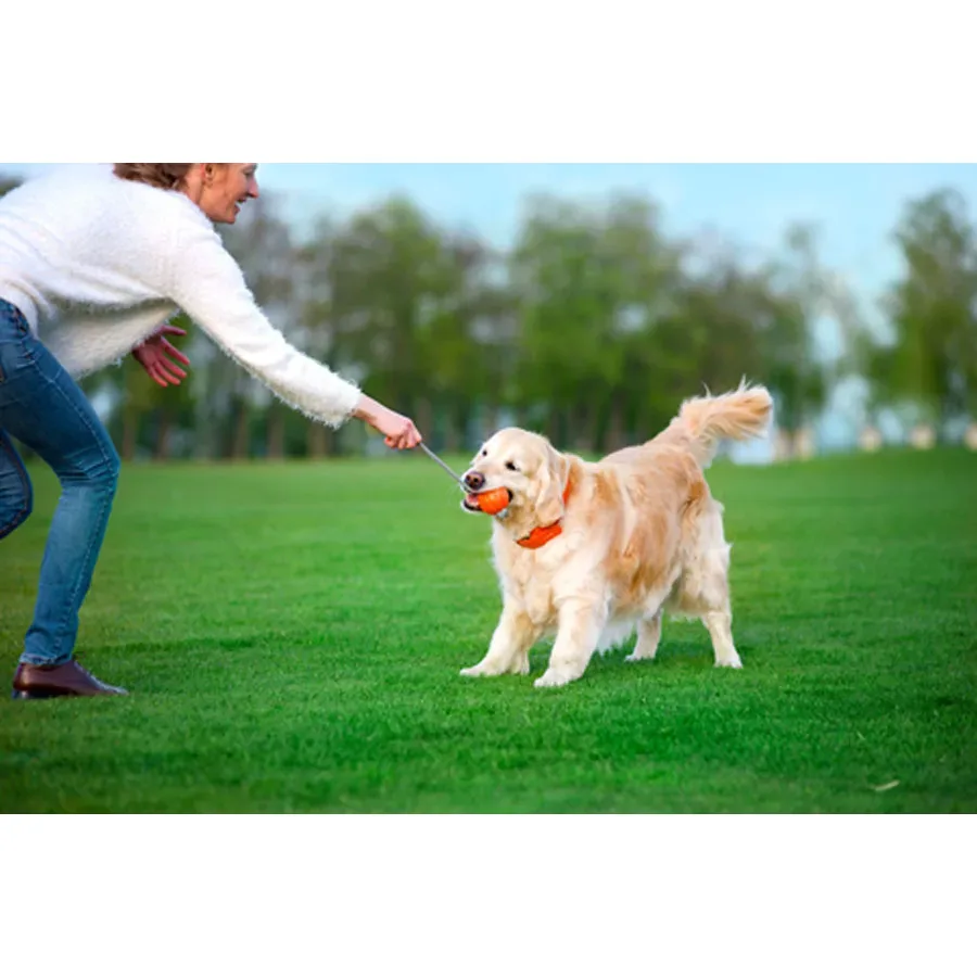 Мячик Корд на шнуре LIKER Ball