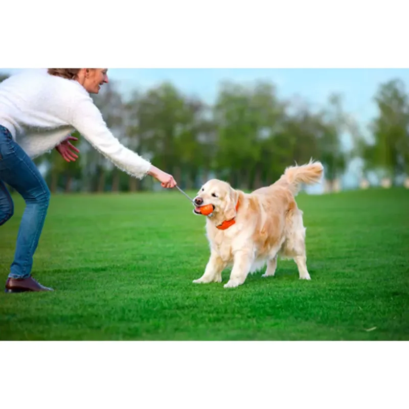 Мячик Корд на шнуре LIKER Ball