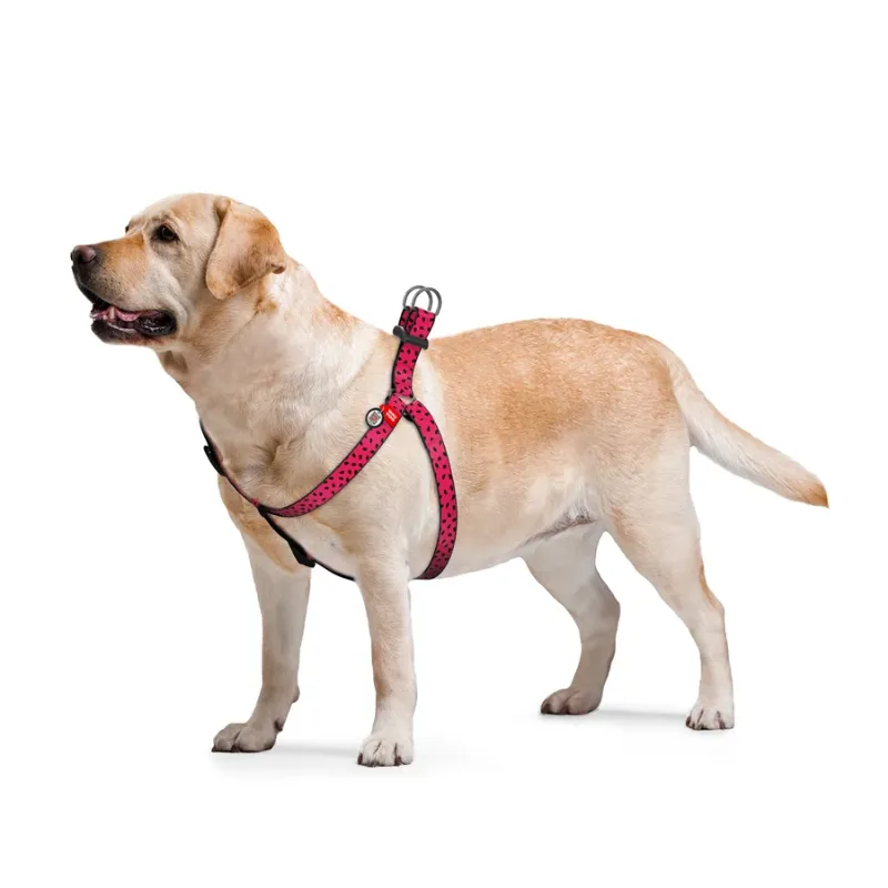 Шлея для собак «Арбуз», M WAUDOG Nylon Anatomic Harness Watermelon