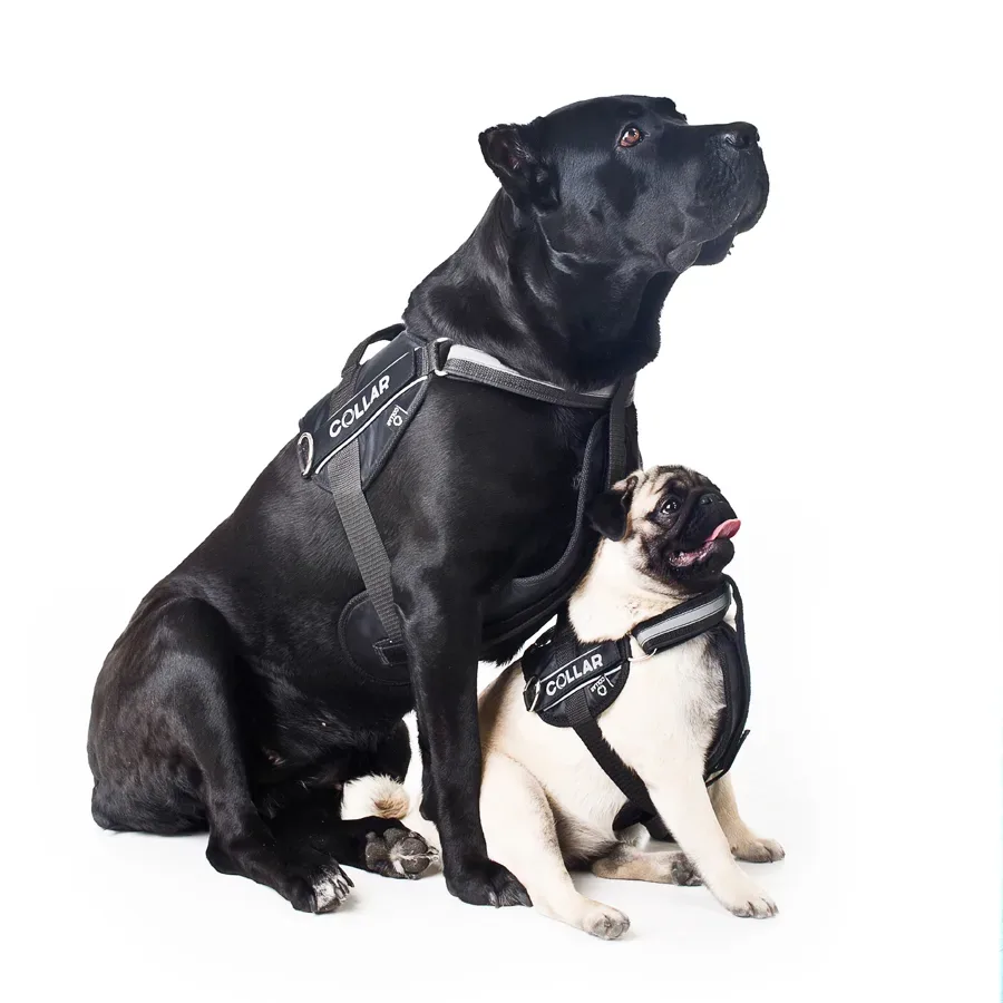 Шлея "POLICE", №2, чорний Dog Extreme Police Harness