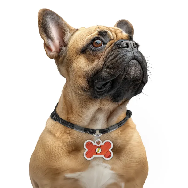 Адресник для собак и котов металлический, кость «Флеш лого», M WAUDOG Smart ID Tag Flash Logo
