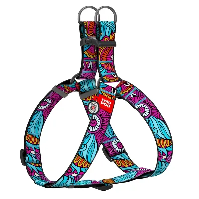 Шлея для собак «Лето», XL WAUDOG Nylon Harness Summer