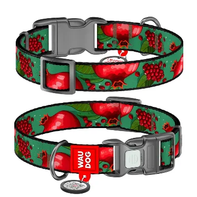 Нашийник для собак нейлоновий «Гранати», S WAUDOG Nylon Collar Pomegranates