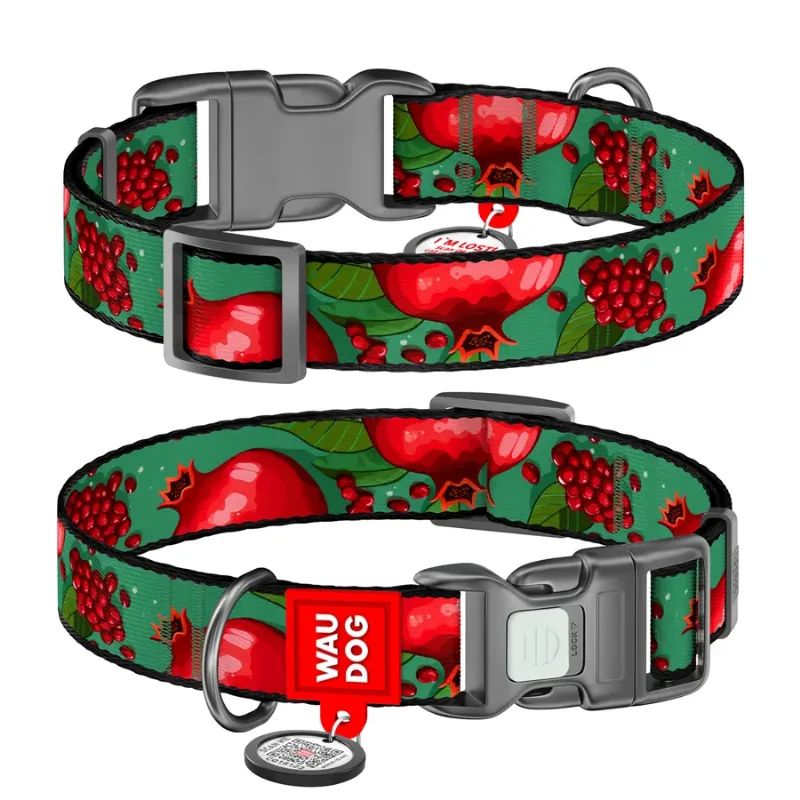 Нашийник для собак нейлоновий «Гранати», S WAUDOG Nylon Collar Pomegranates
