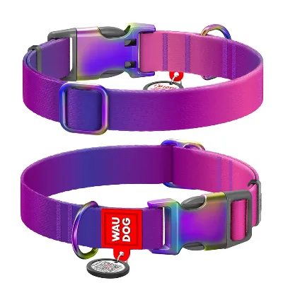 Нашийник для собак нейлоновий, градієнт, XL, фіолетовий WAUDOG Nylon Recycled Collar