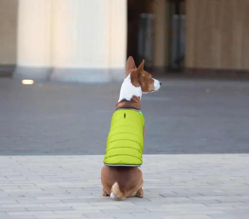 Куртка-накидка для собак, XL, салатовий AiryVest Dog Cape Jacket