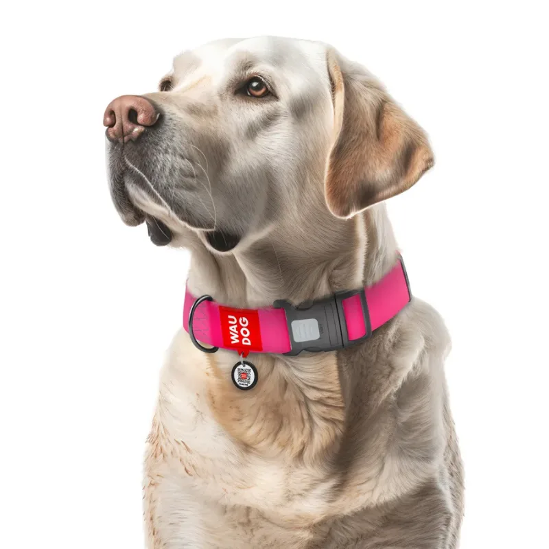 Нашийник для собак водостійкий, пластикова пряжка, XXL, рожевий WAUDOG Waterproof Collar