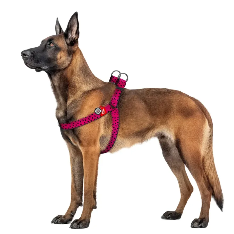 Шлея для собак «Арбуз», XL WAUDOG Nylon Harness Watermelon