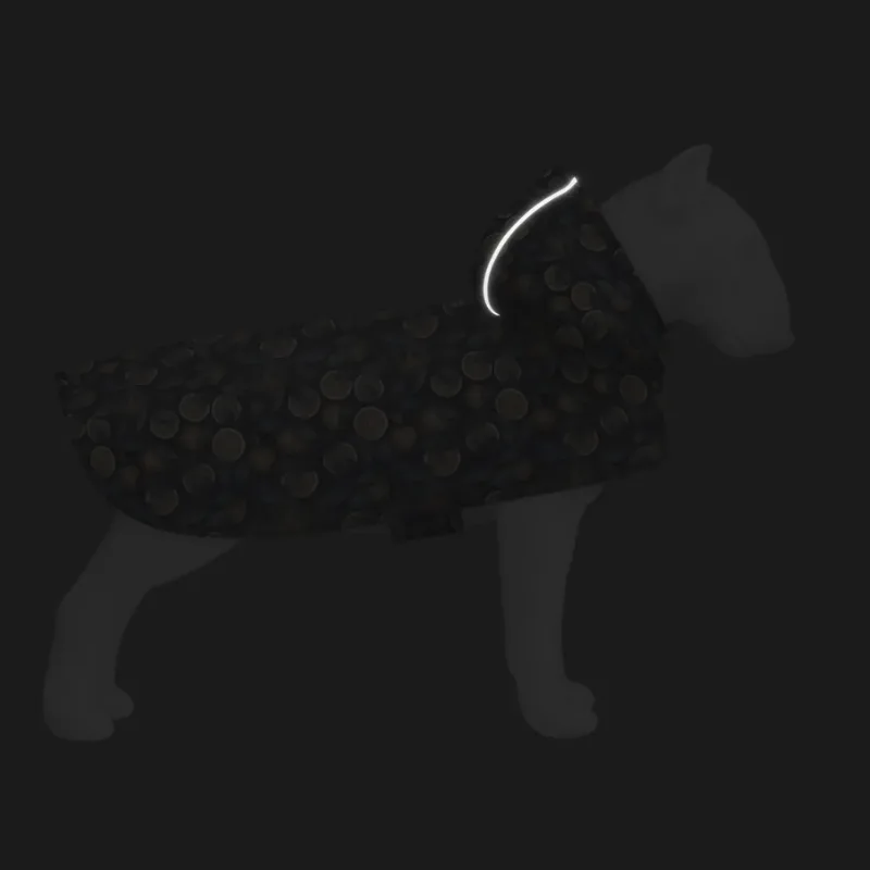 Дождевик-накидка с капюшоном для собак «Апельсины», M WAUDOG Clothes Dog Raincoat Oranges