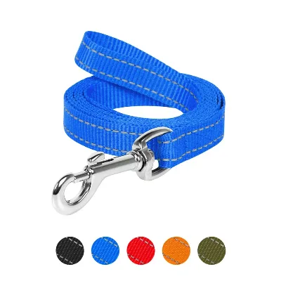 Поводок нейлоновый, 25 мм × 200 см, L, голубой Dog Extreme Leash