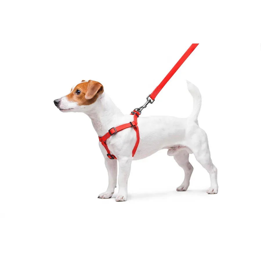 Шлея для собак водостойкая, S, красный WAUDOG Waterproof Harness