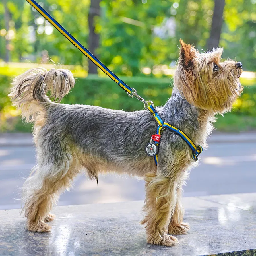 Повідець для собак нейлоновий «Colors of freedom», XS WAUDOG Nylon Leash Colors of Freedom
