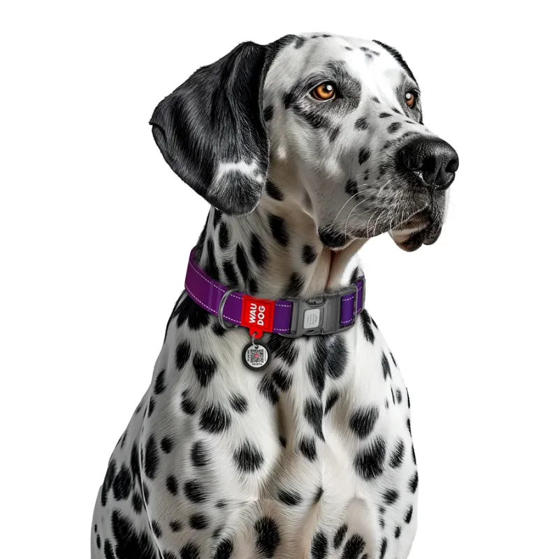 Нашийник для собак нейлоновий, світловідбивний, M, фіолетовий WAUDOG Nylon Mono Collar