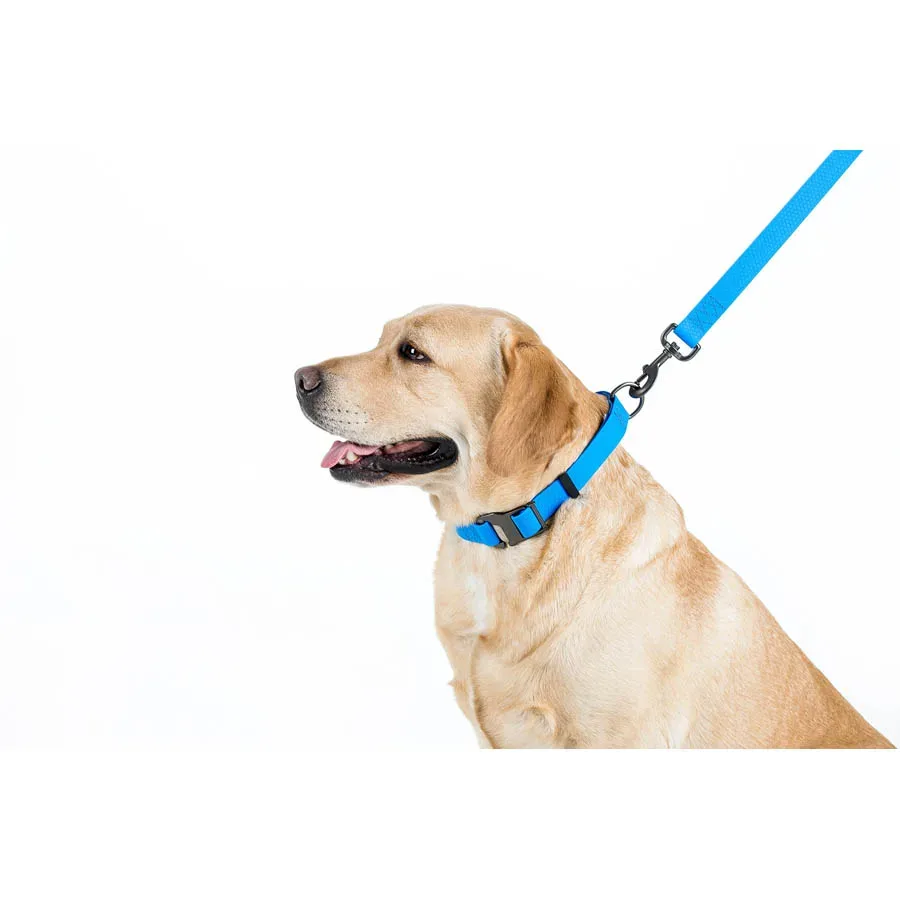 Поводок для собак водостойкий, 20 мм × 183 см, M, голубой WAUDOG Waterproof Leash