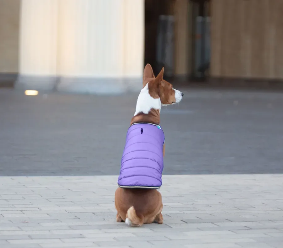 Куртка-накидка для собак, L, фіолетовий AiryVest Dog Cape Jacket