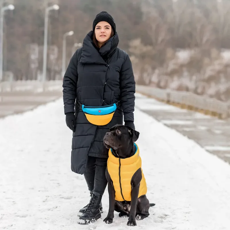 Двостороння курточка для собак, L55, жовто-блакитна AiryVest Dog Jacket
