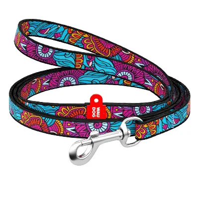 Повідець для собак нейлоновий «Літо», XS WAUDOG Nylon Leash Summer