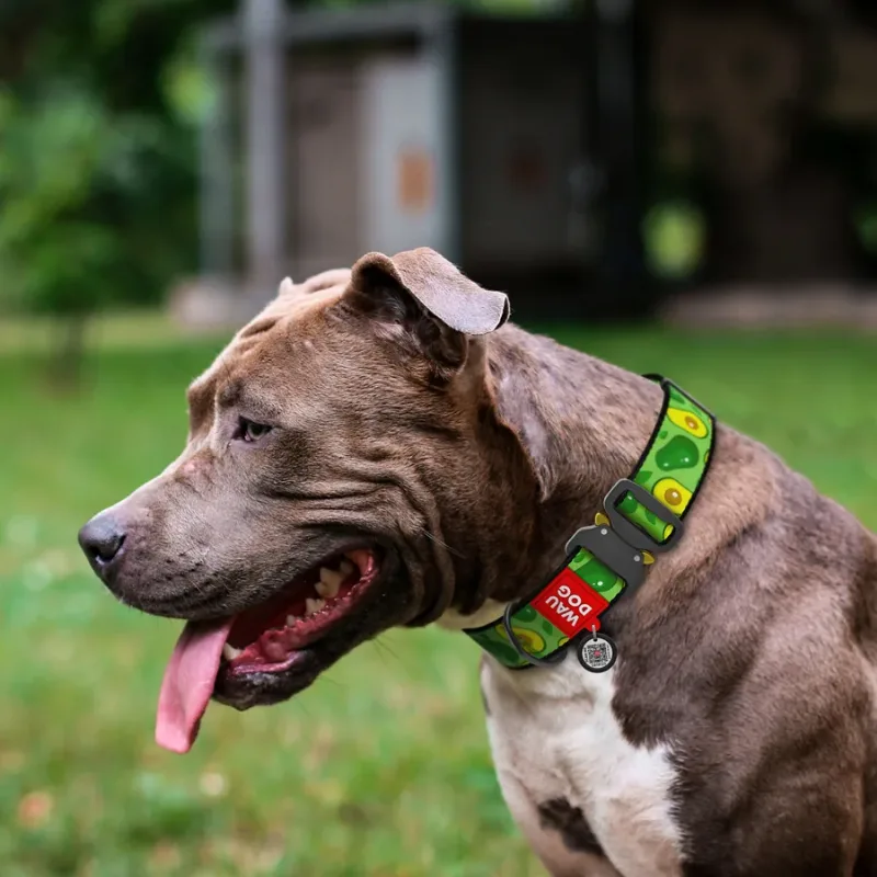 Ошейник для собак нейлоновый «Авокадо», металлическая пряжка, XXL WAUDOG Nylon Collar Avocado